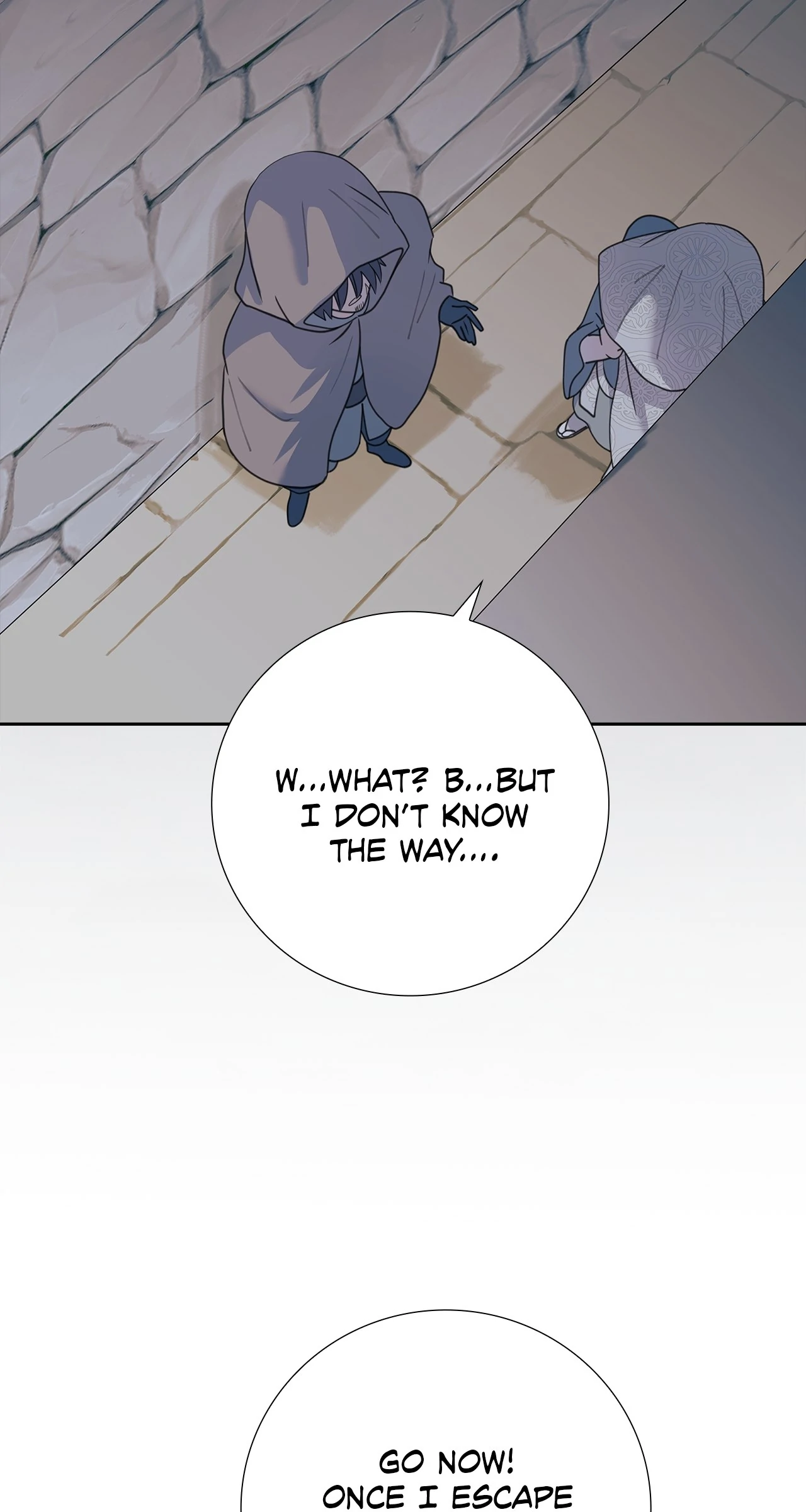 83541667 1280 2400 126432